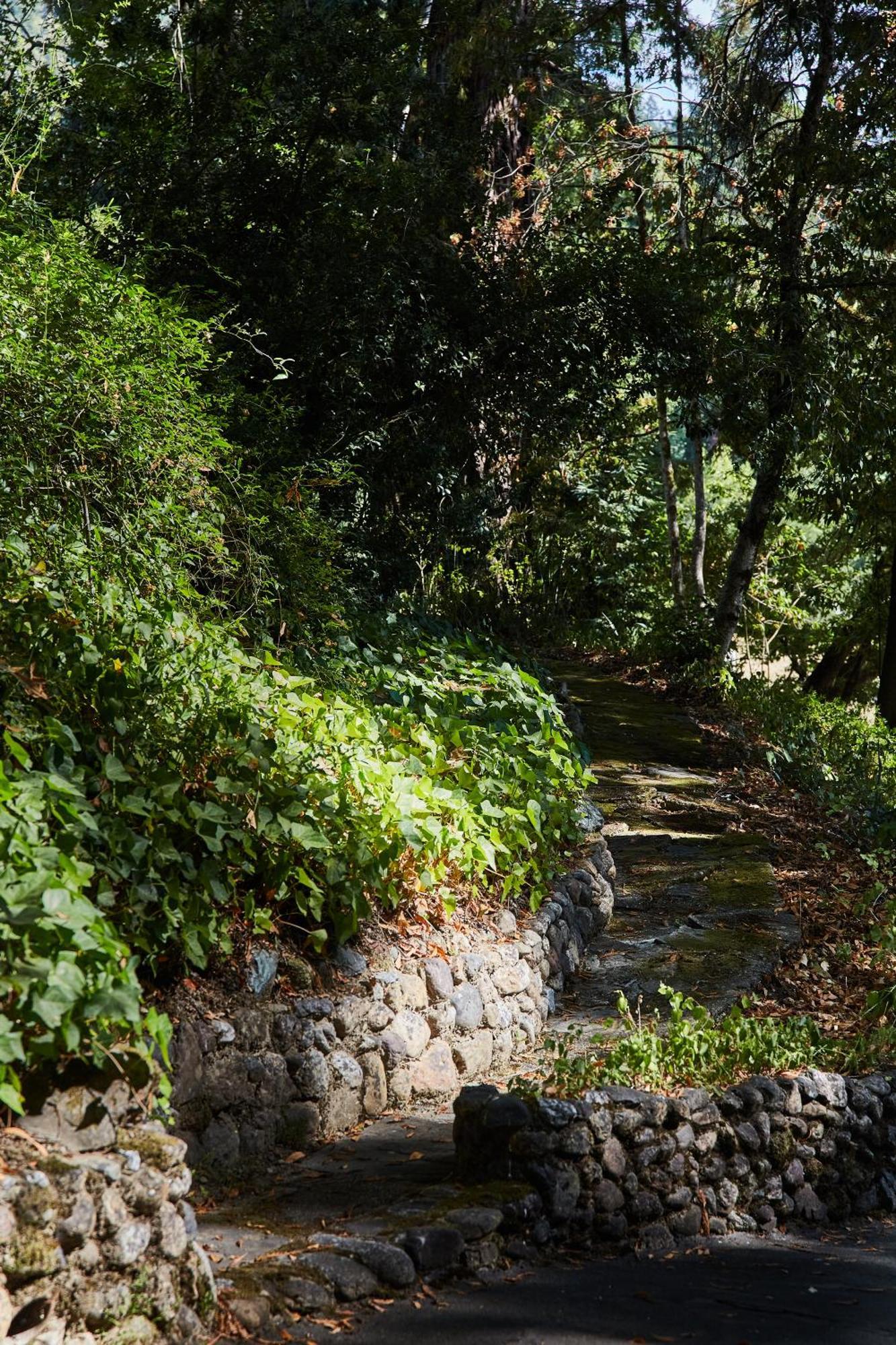 Mine And Farm, The Inn At Guerneville, Ca Zewnętrze zdjęcie